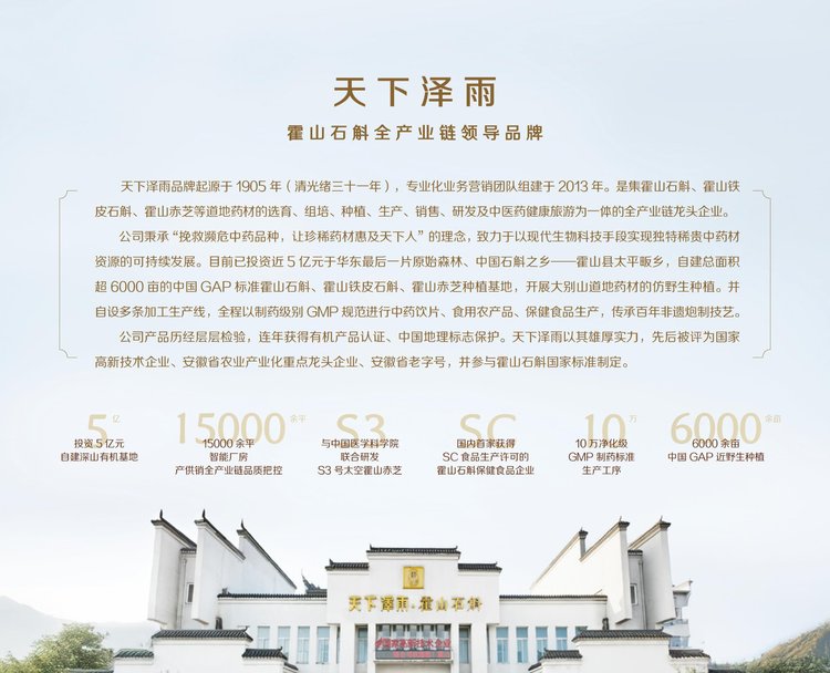 天下泽雨铁皮石斛冻干片