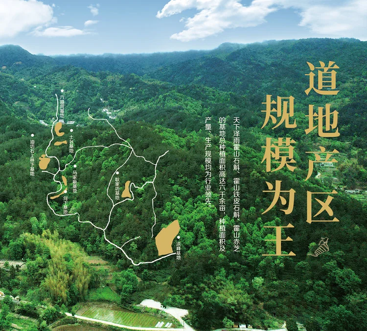 天下泽雨霍山米斛干花