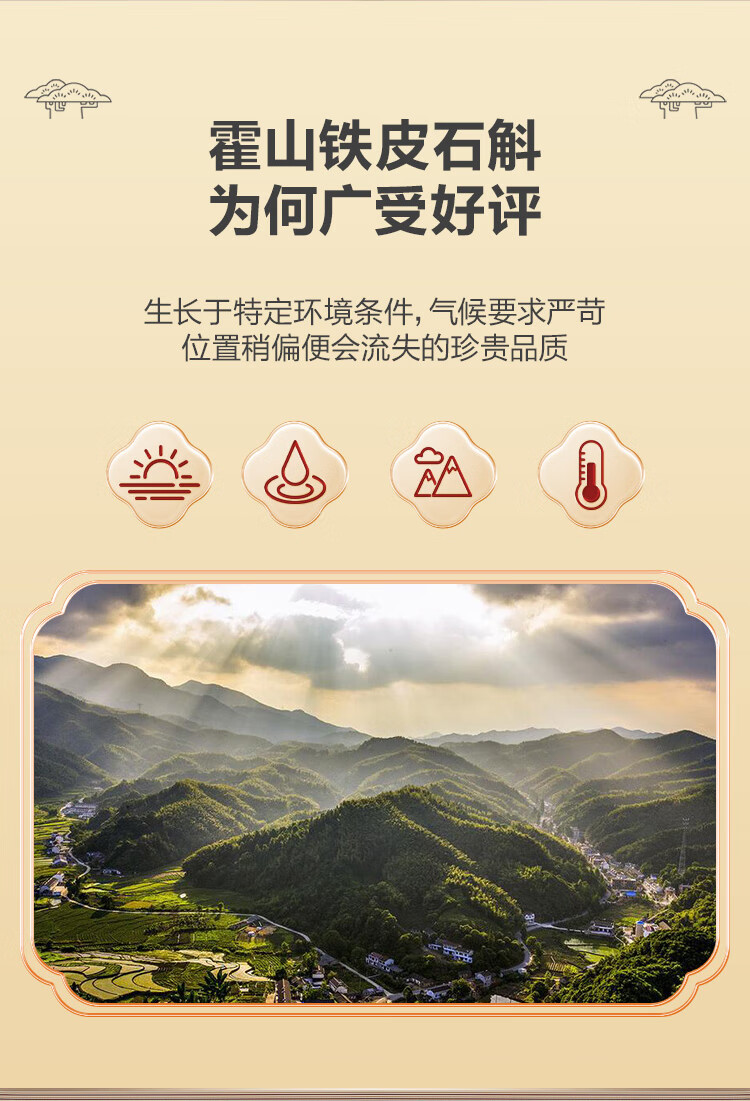 天下泽雨霍山铁皮石斛产品图