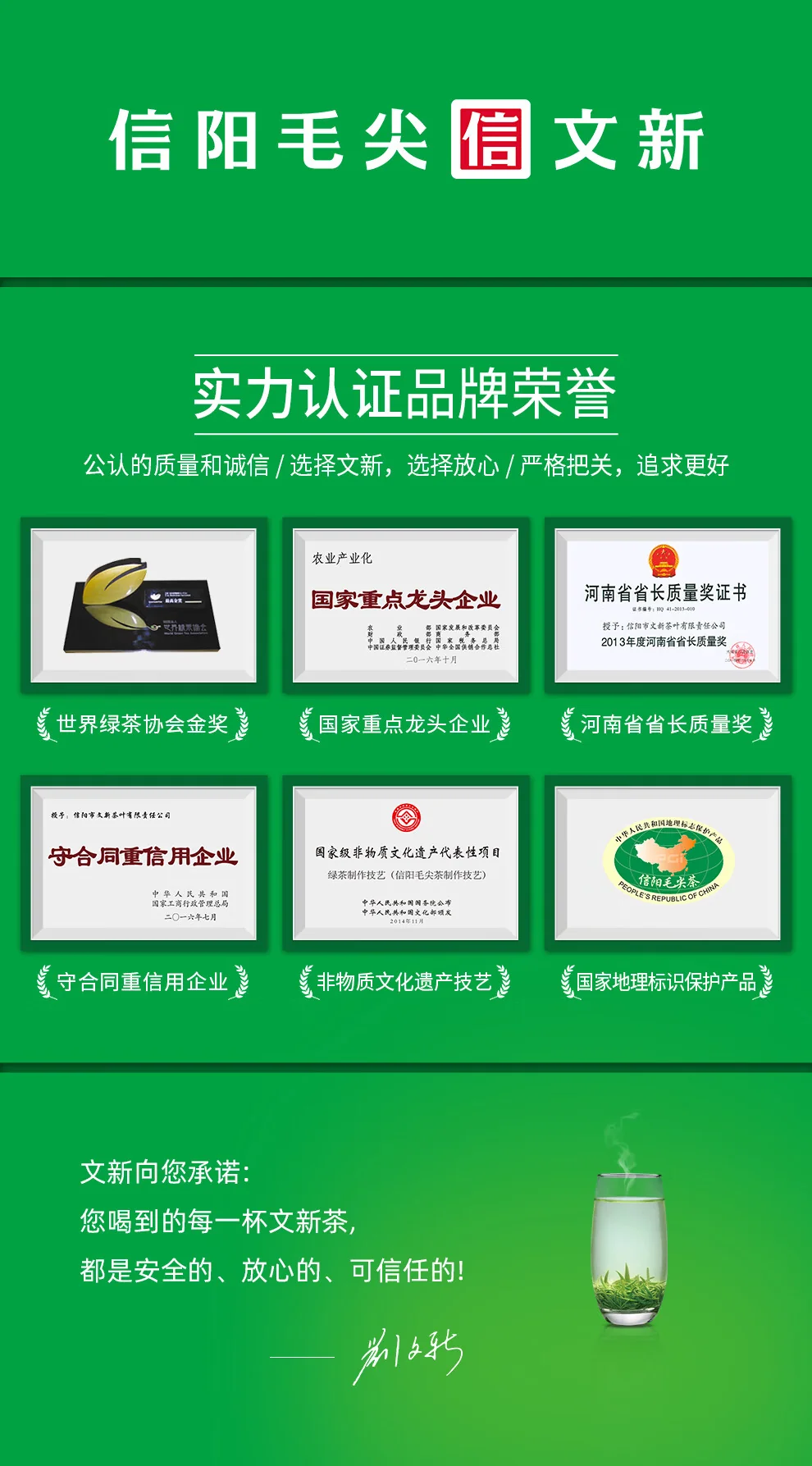 【中国直邮，时效7-15天】文新绿茶2026新茶4A非遗手工信阳毛尖特级200g明前罐装抢新 详情图 1