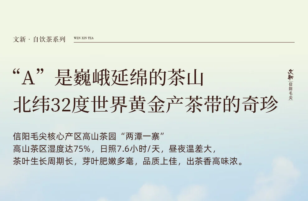 【中国直邮，时效7-15天】文新绿茶2026新茶4A非遗手工信阳毛尖特级200g明前罐装抢新 详情图 6