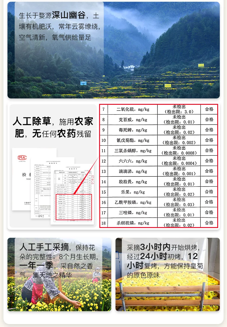 【中国直邮，时效7-15天】婺牌 婺源绣球皇菊菊花茶 江西特产花茶礼盒 金丝皇菊特级茶 婺源皇菊花王 两盒装 48朵 详情图 10