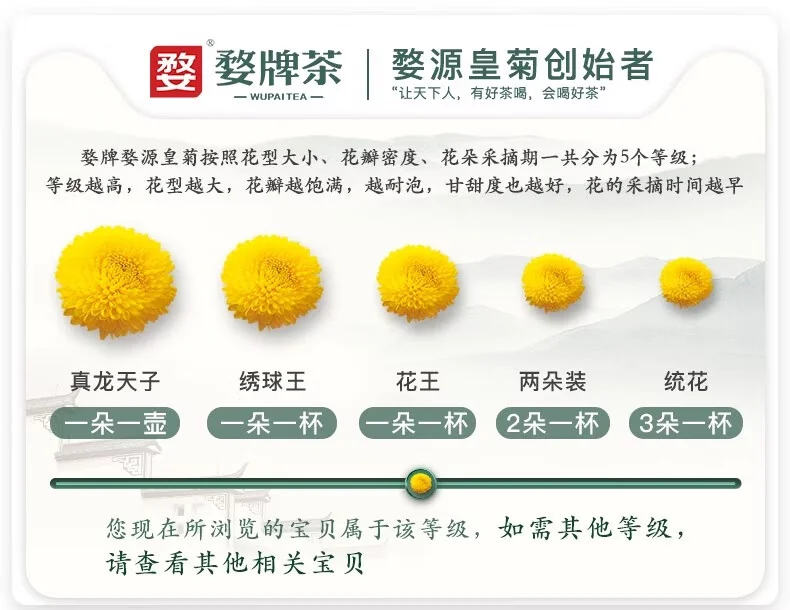 【中国直邮，时效7-15天】婺牌 婺源绣球皇菊菊花茶 江西特产花茶礼盒 金丝皇菊特级茶 婺源皇菊花王 两盒装 48朵 详情图 1