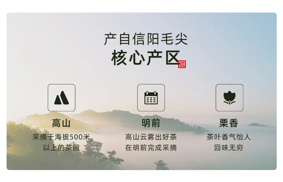 China Direct Shipping, Time Limit 10-15 days Wenxin Green Tea 1915 Xinyang Mao Jian Premium 160g 2024 Mingqian Gift Set New Tea Listing detail image 2