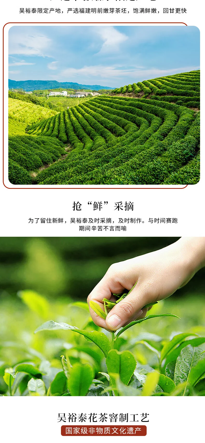吴裕泰 茉莉花茶特种全芽茶叶茉莉绿茶新茶秘制九窨金尊纯芽花草茶礼品50g detail image 9