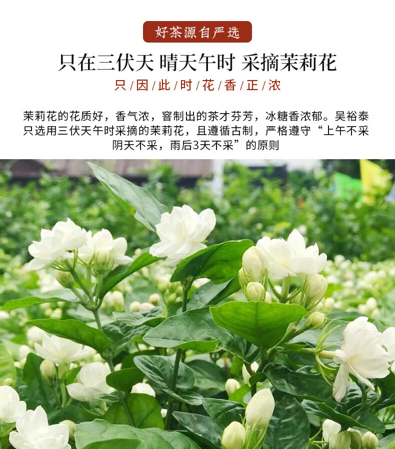 【中国直邮，时效5-12天】吴裕泰 七窨浓香中华老字号香雪茉莉花茶80g 中国茶茶叶礼盒 detail image 14