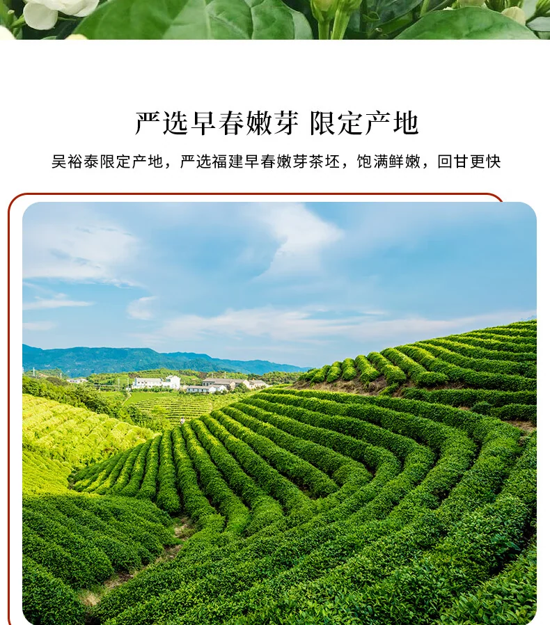 【中国直邮，时效5-12天】吴裕泰 七窨浓香中华老字号香雪茉莉花茶80g 中国茶茶叶礼盒 detail image 15