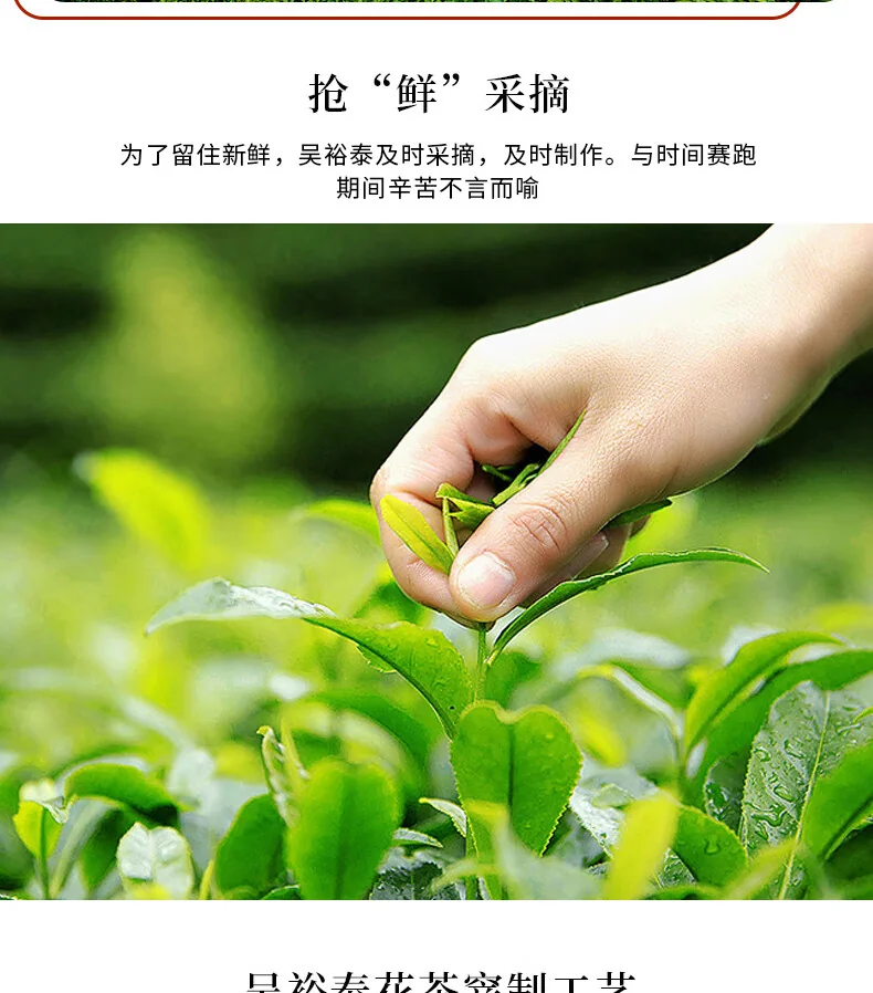【中国直邮，时效5-12天】吴裕泰 七窨浓香中华老字号香雪茉莉花茶80g 中国茶茶叶礼盒 detail image 16