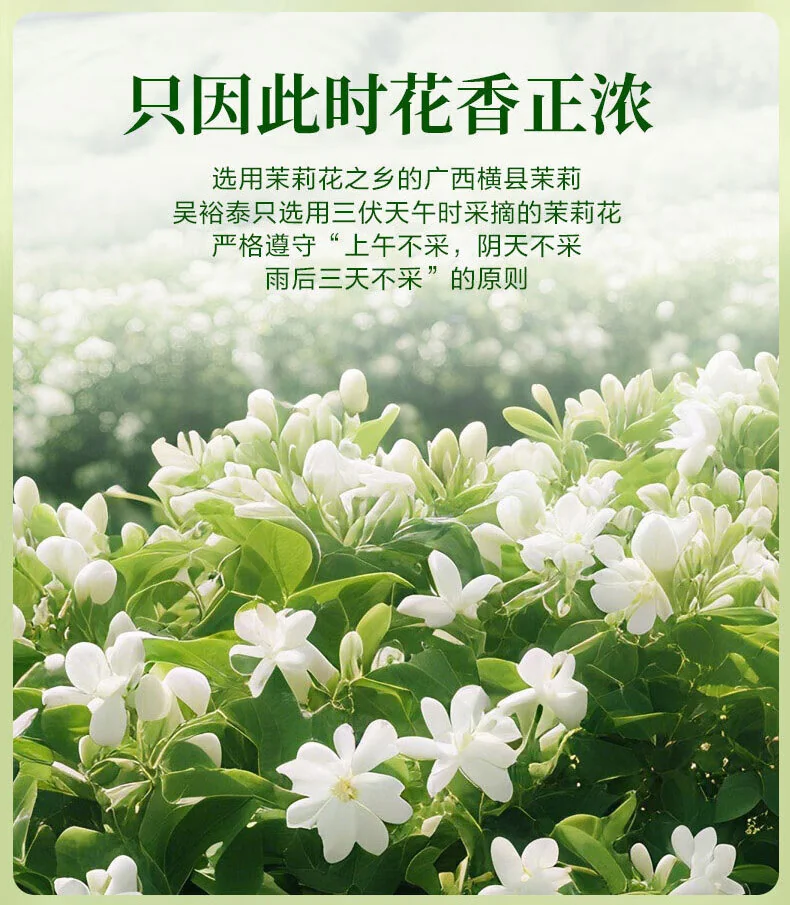 Wu Yutai Jasmine Tea, Qingyun 110g, Premium Grade Lightly Fragrant Tea, High-End Canned, Traditional Beijing Souvenir Tea for Personal Enjoyment detail image 3