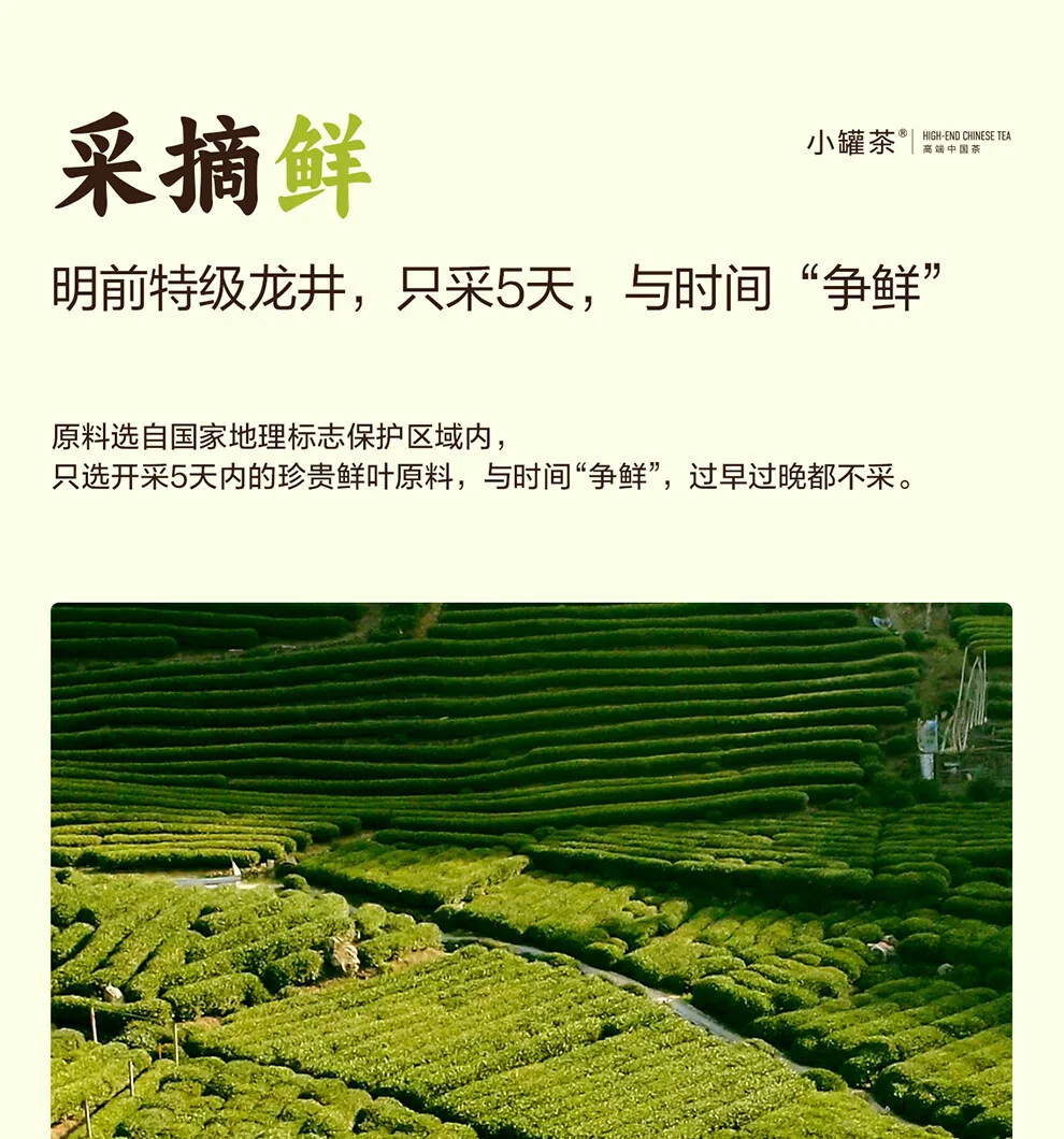 小罐茶龙井茶产品图