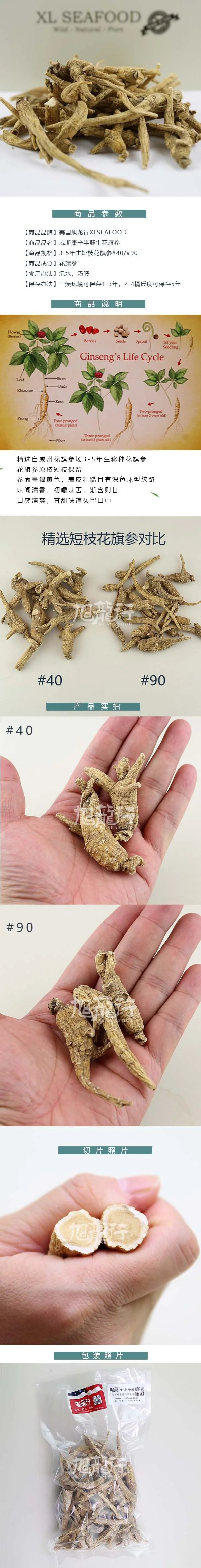 旭龙行 特级威州移种半野生 短枝花旗参3-5年参 detail image 1