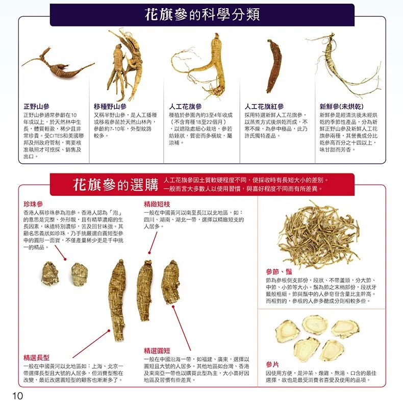 Hsu’s Citi Red Ginseng Overlord, American Ginseng from Wisconsin, 5 years old,113g detail image 4