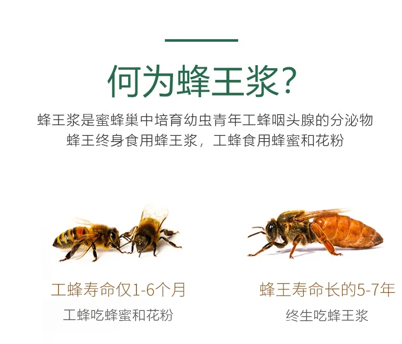 许氏（Hsu’s）蜂王浆粉 免疫调节 4盎司（113g） 详情图 3