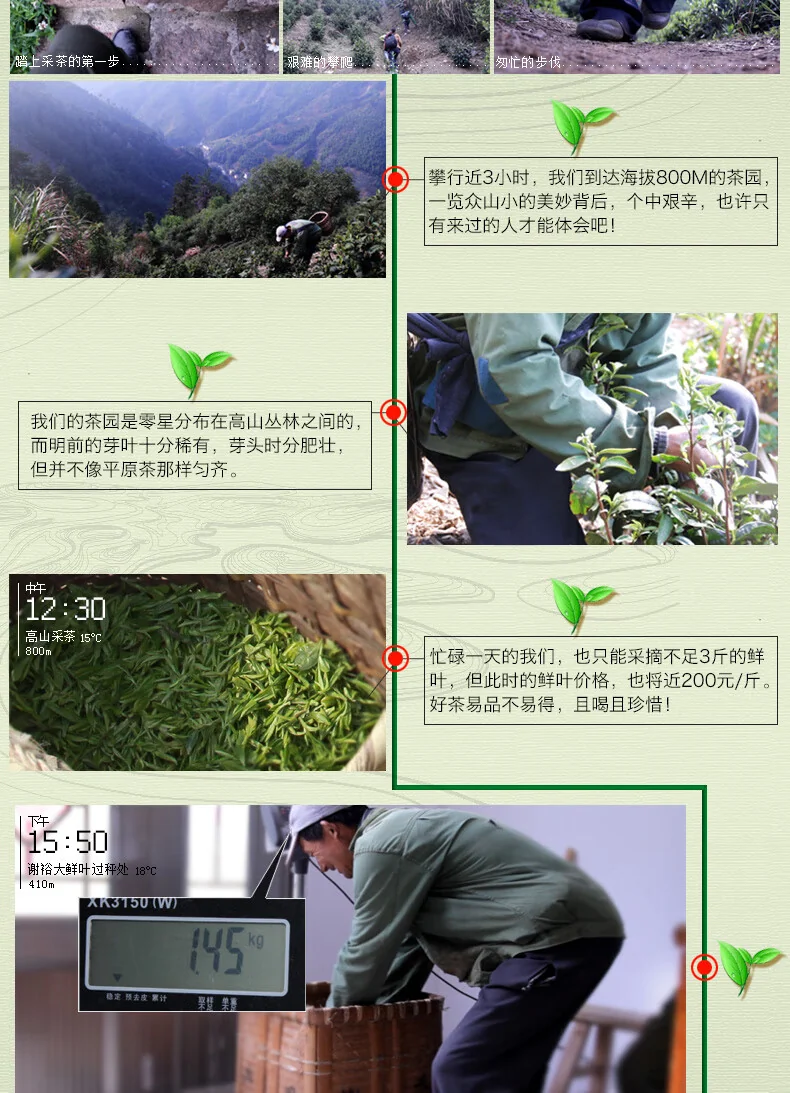 【中国直邮，时效7-15天】谢裕大 2026新茶 绿茶 金奖顶芽安徽黄山毛峰特级一等60g听装自饮口粮 详情图 11