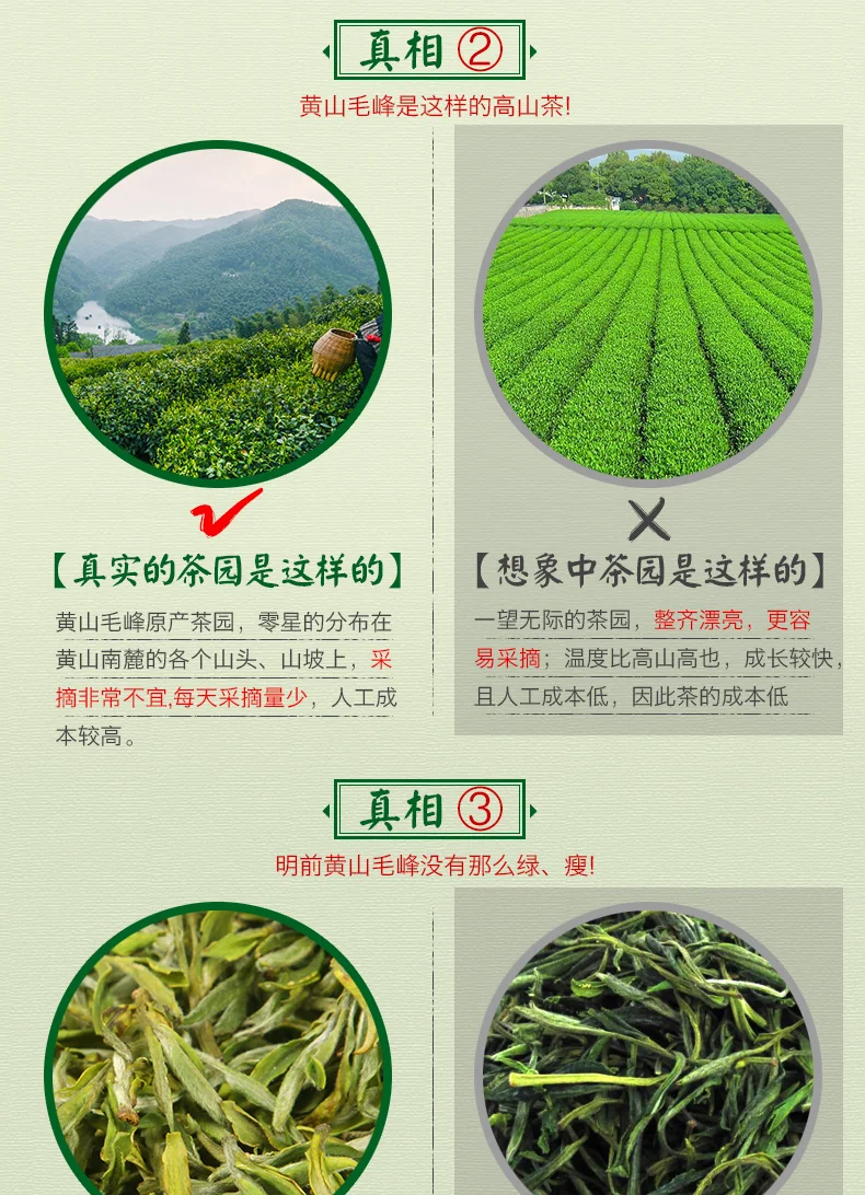 【中国直邮，时效7-15天】谢裕大 2026新茶 绿茶 金奖顶芽安徽黄山毛峰特级一等60g听装自饮口粮 详情图 13