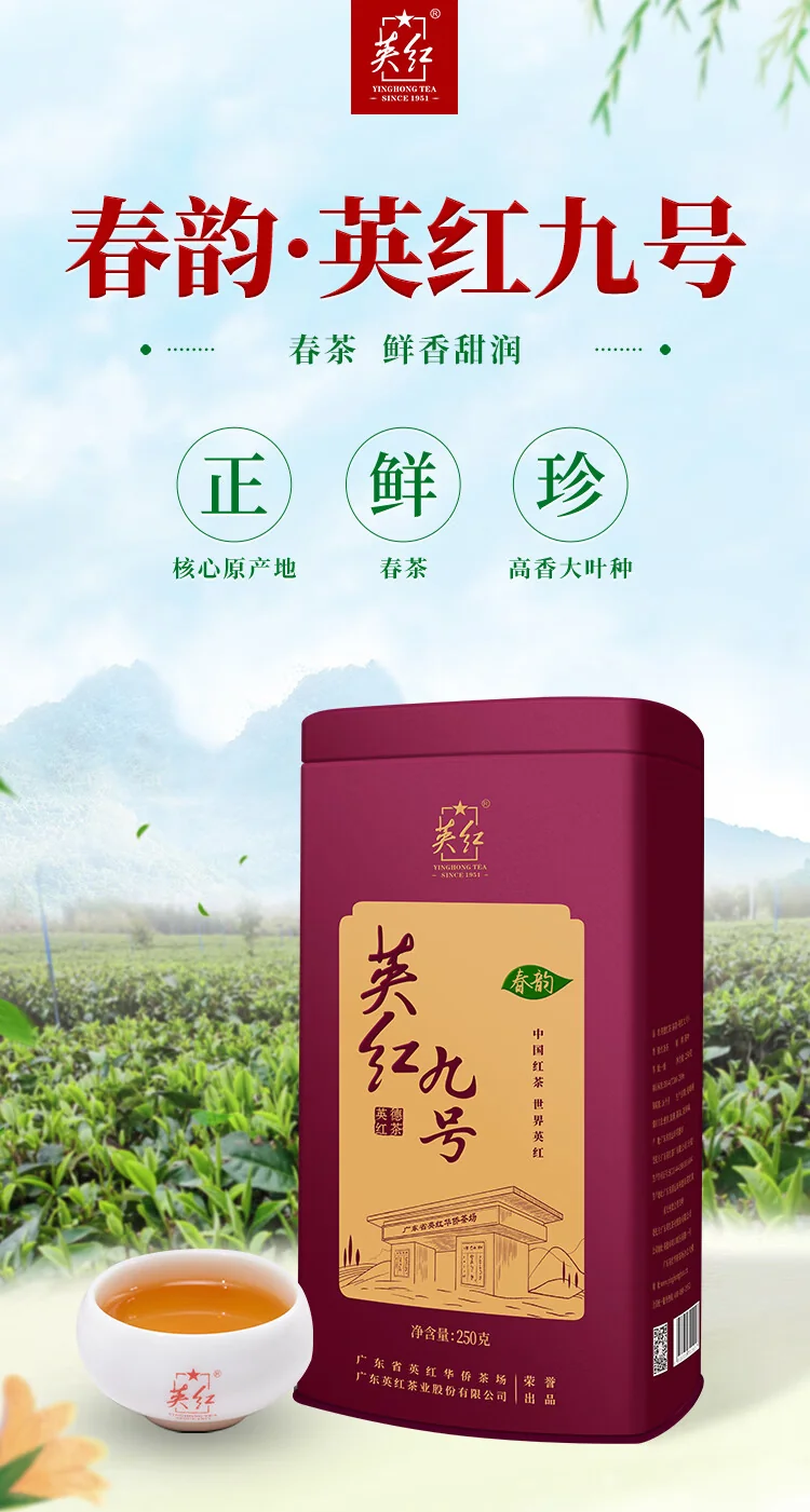 【中国直邮，时效10-15天】英红牌红茶 春茶英红九号有机红茶 大份量罐装250g 节日送礼自饮 detail image 1