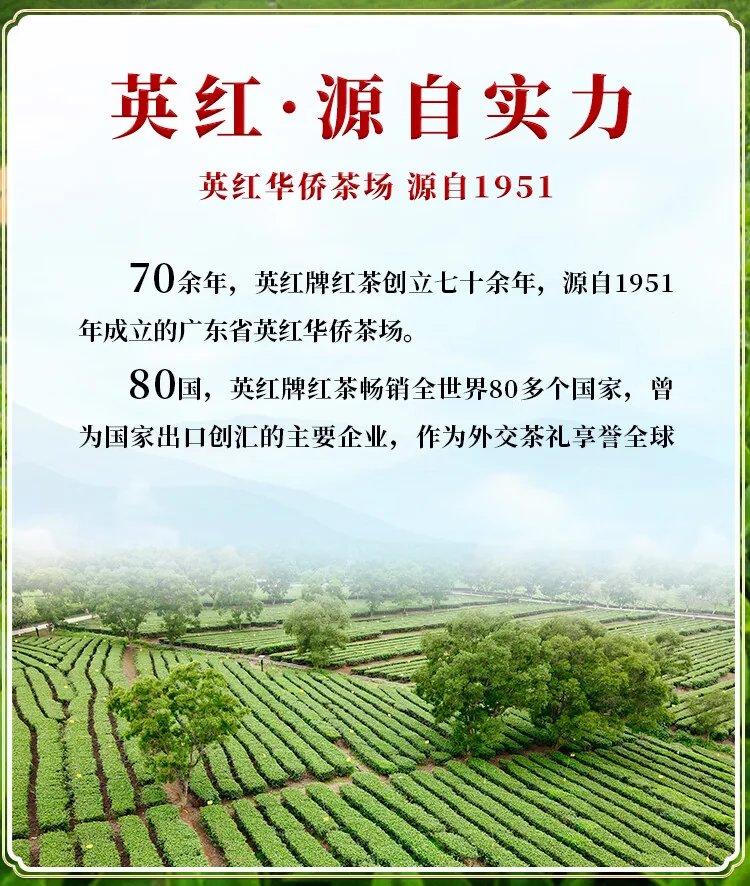 【中国直邮，时效10-15天】英红牌红茶 春茶英红九号有机红茶 大份量罐装250g 节日送礼自饮 detail image 10