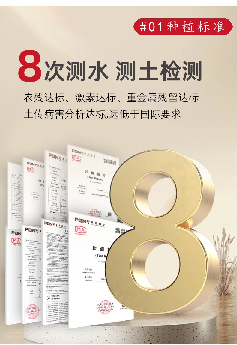 【中国直邮，时效7-15天】张宝山 铁棍山药粉600g 怀山药干粉早餐代餐粉送礼老年人营养品河南特产 detail image 3