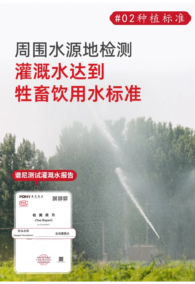 【中国直邮，时效7-15天】张宝山 铁棍山药粉600g 怀山药干粉早餐代餐粉送礼老年人营养品河南特产 detail image 4