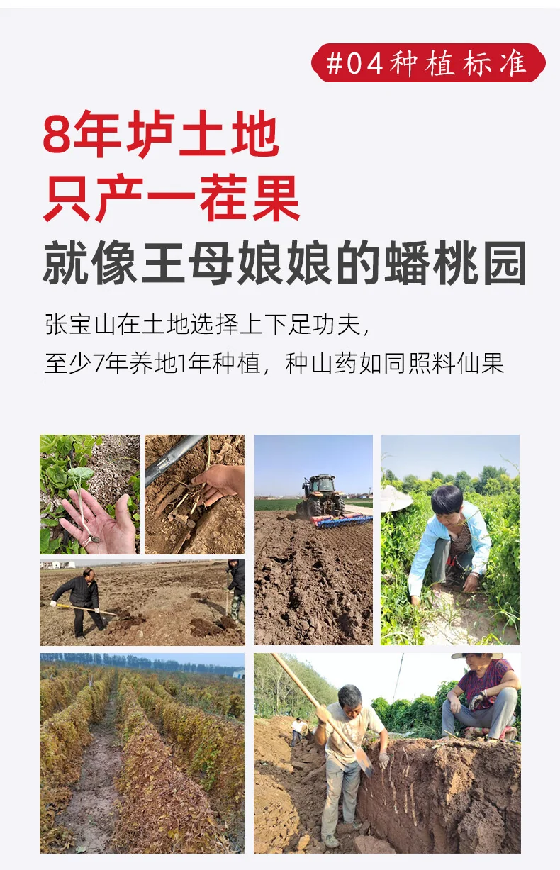 【中国直邮，时效7-15天】张宝山 铁棍山药粉600g 怀山药干粉早餐代餐粉送礼老年人营养品河南特产 detail image 6