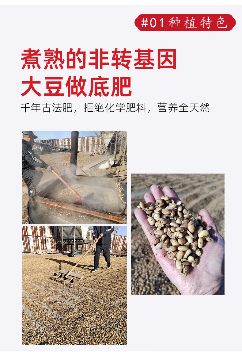 【中国直邮，时效7-15天】张宝山 铁棍山药粉600g 怀山药干粉早餐代餐粉送礼老年人营养品河南特产 detail image 9