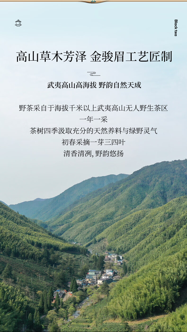 正山堂正山小种红茶产品图