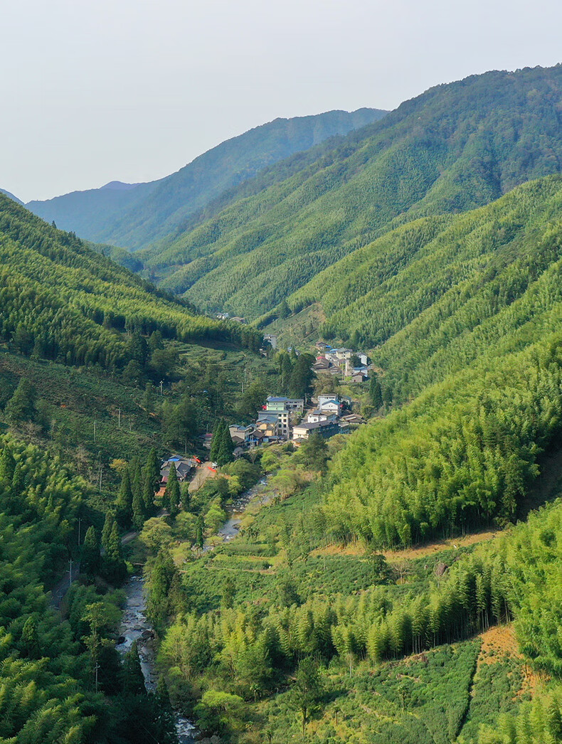 正山堂正山小种红茶产品图