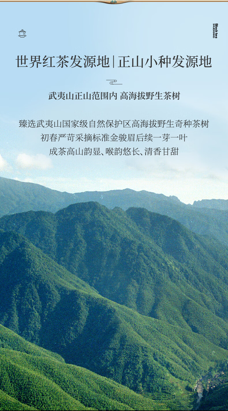 正山堂银骏眉正山小种红茶产品图