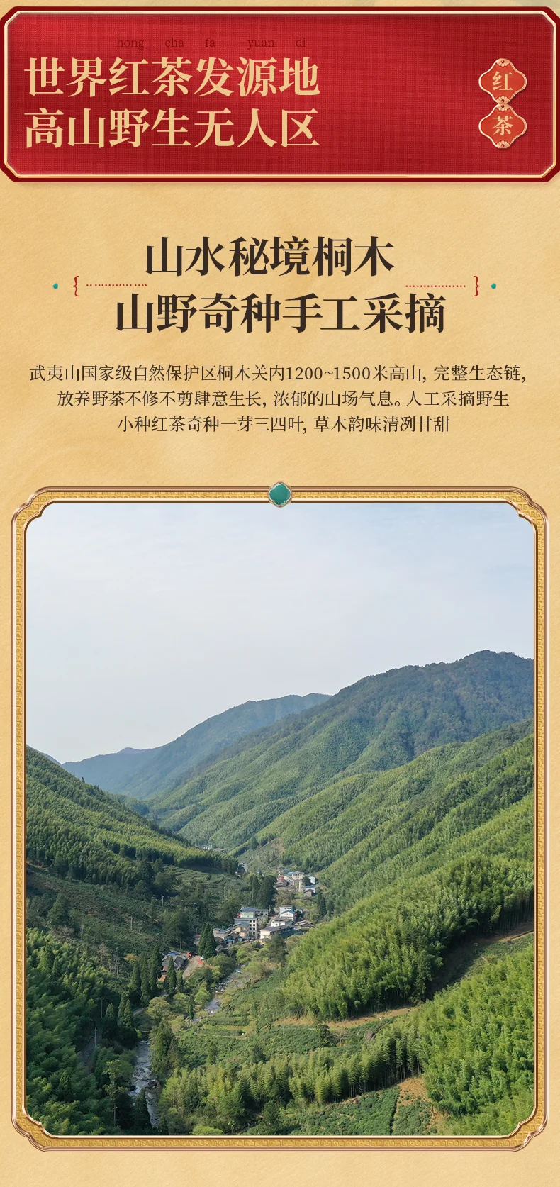 Zhengshantang, Souchong wild tea, Wuyi Black Tea, Premium Tea, Small Can, 50g detail image 4