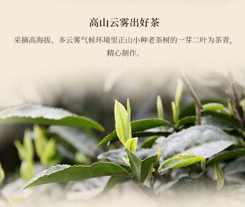 正山堂 1568无烟熏正山小种 武夷红茶 特级红茶 罐装100g 详情图 3