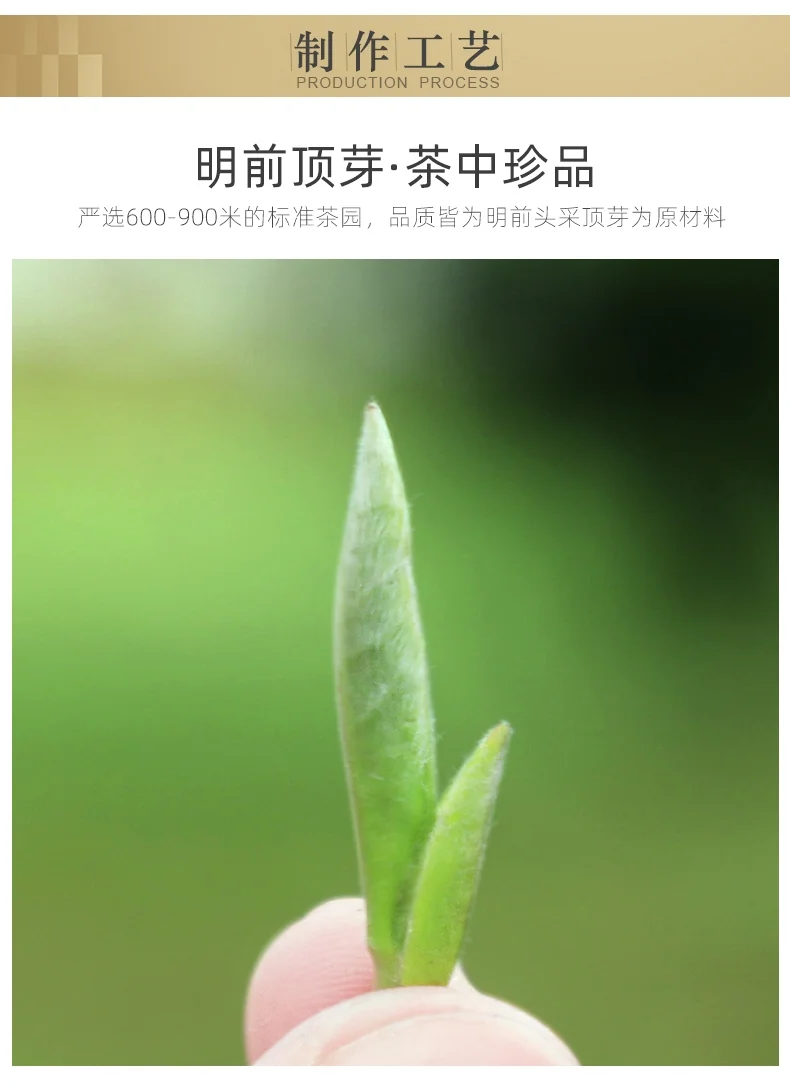 BESTLEAFTEA Organic White Tea Fujian White Silver Needle 2.5OZ detail image 3
