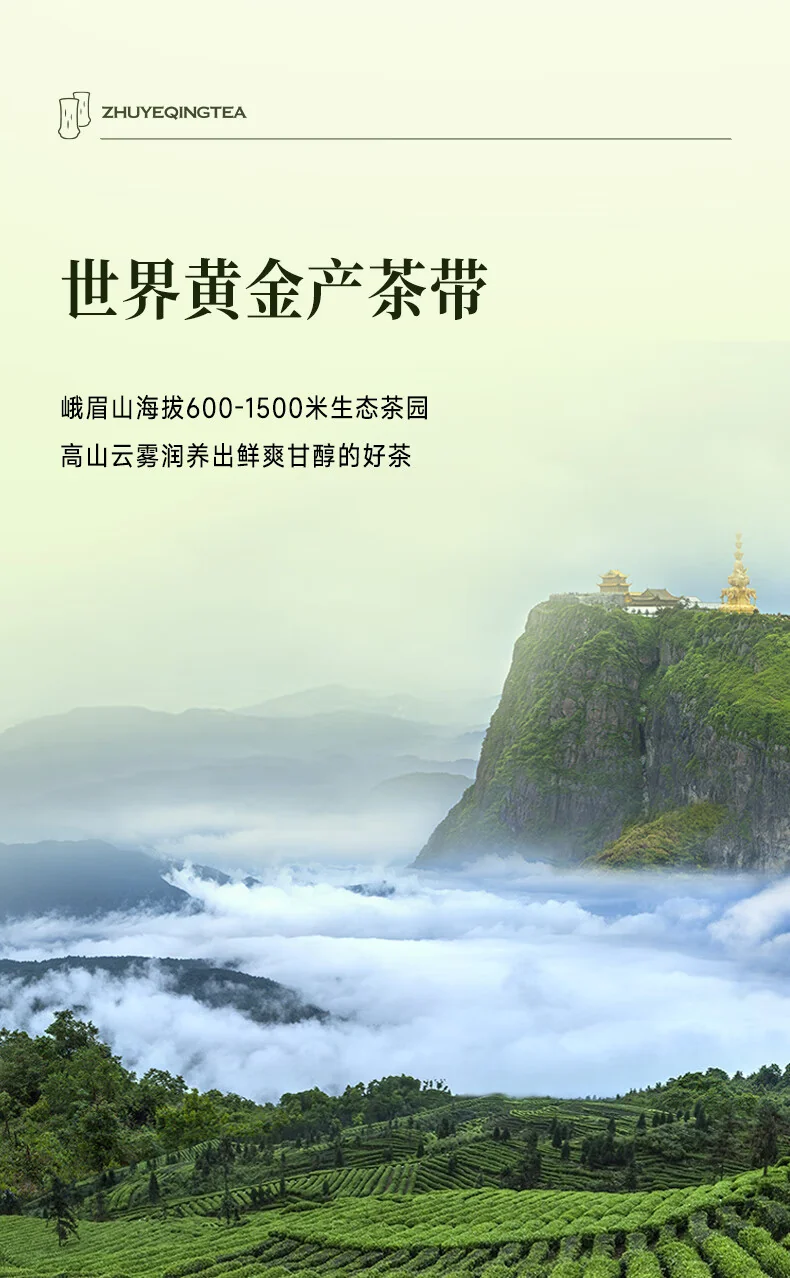 【中国直邮，时效7-15天】竹叶青 2026年绿茶 品味充氮保鲜峨眉山茶特级120g茶叶礼盒装 detail image 7