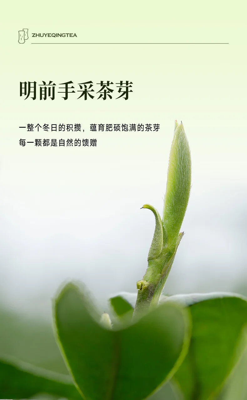 【中国直邮，时效7-15天】竹叶青 2026年绿茶 品味充氮保鲜峨眉山茶特级120g茶叶礼盒装 detail image 8
